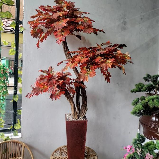 pohon maple artificial - pohon maple tinggi 170 cm - pohon maple coklat