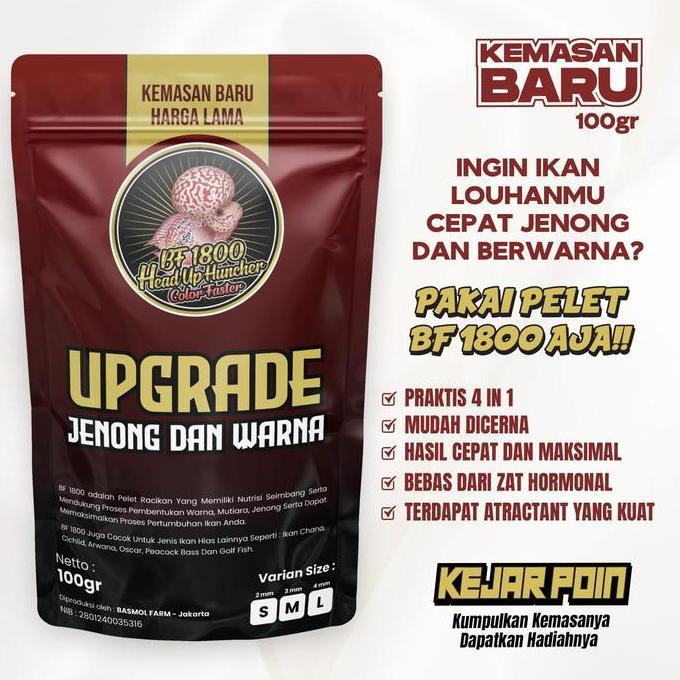 Fisch- Pelet Pakan Louhan Bf1800 Bf 1800 Head Up Collor Faster Red Merah Top