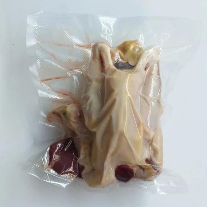 Anakan Ayam kampung Muda Asli Solo