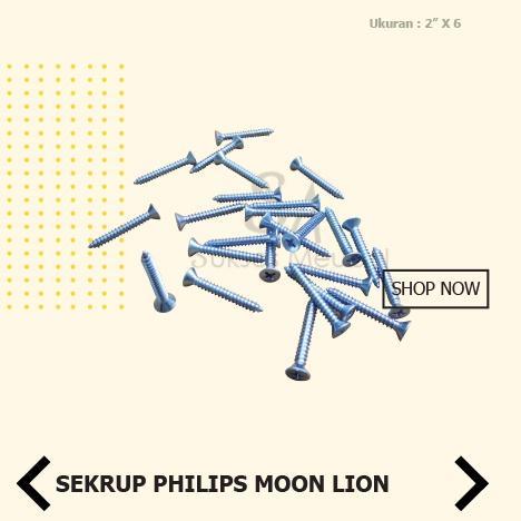 6 X 2 In Sekrup Philips Moon Lion Fh / Sekrup Baut Tapping