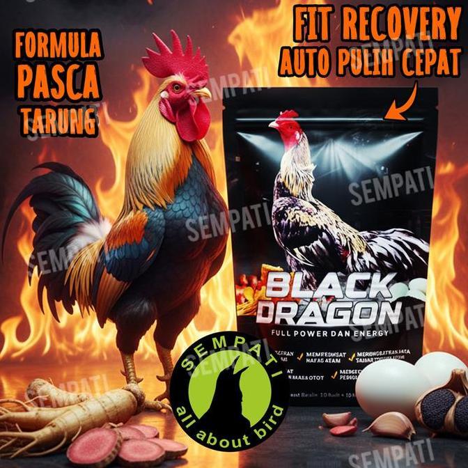 SEMPATI BLACK DRAGON JAMU AYAM ADUAN JAGO TARUNG PIL HERBAL RECOVERY PEMULIHAN PASCA LOMBA FULL POWE