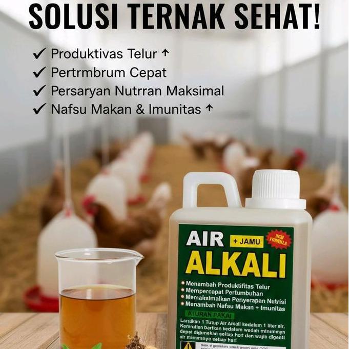 PAKET 8 AIR ALKALI JAMU TERNAK SEHAT 500 GRAM