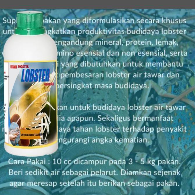 Vitamin booster Lobster Tawar Agar Cepat Besar Suplemen Lobster Air Tawar Ternak Lobster Organik