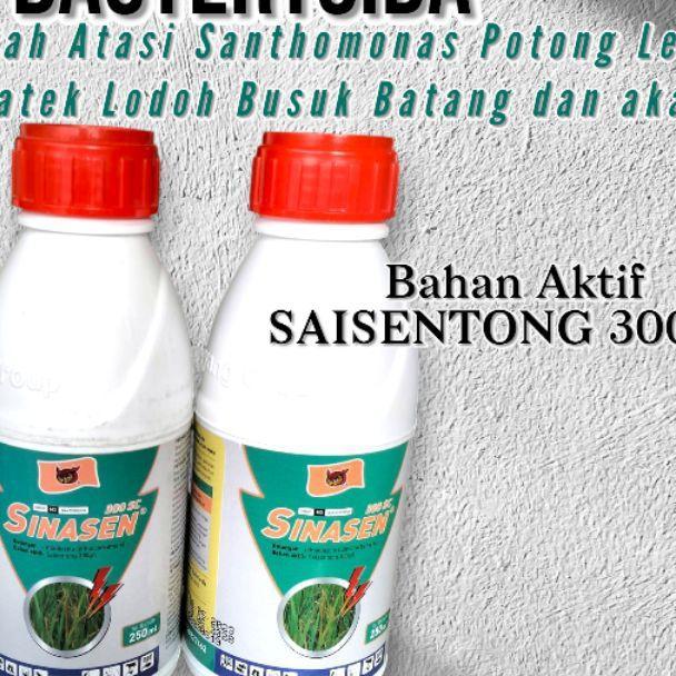 Obat Patek & Bulai Ampuh Sinasen 300 Ec Seisentong 250 Ml - Cegah Atasi Xanthomonas, Potong Leher Da