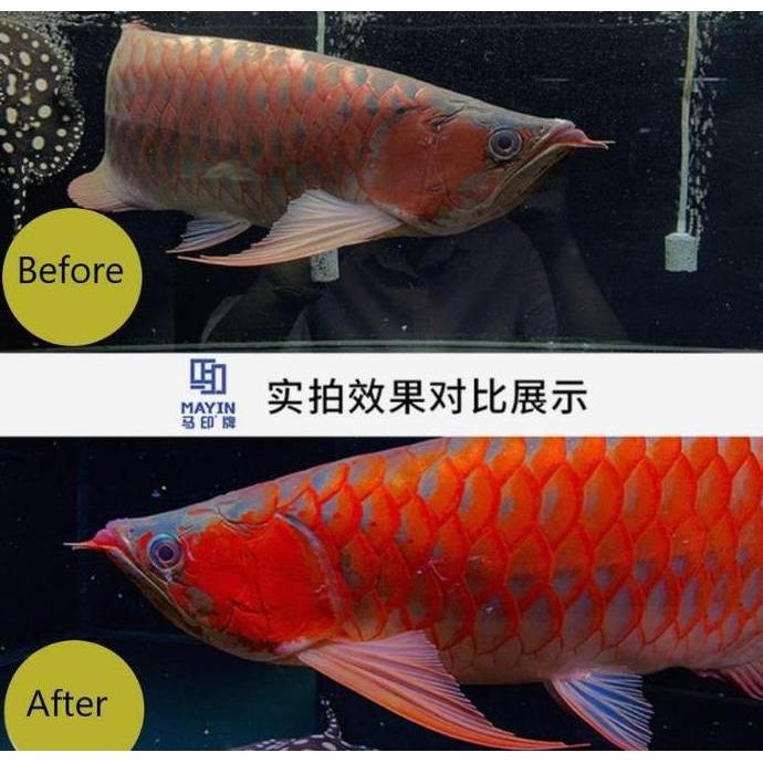 Acquario- Mayin Lamp View Plus 142Cm Lampu Led Celup Aquarium Ikan Arona Koki