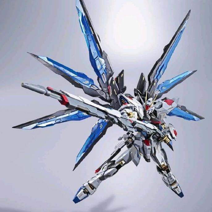 Metal Build Strike Freedom Gundam 0326