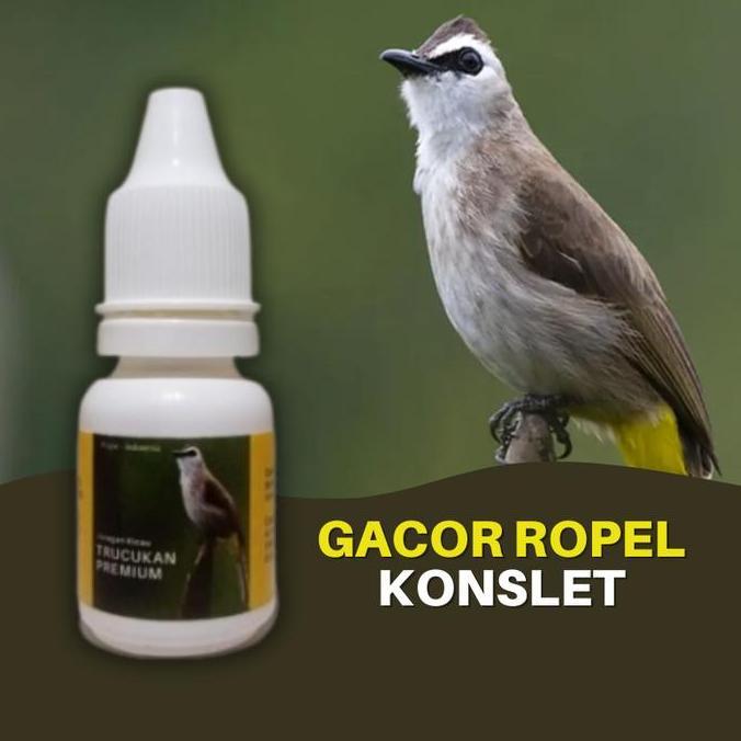 Doping Vitamin Burung Trucukan Premium Biar Gacor Ropel Konslet Jamu Allshop