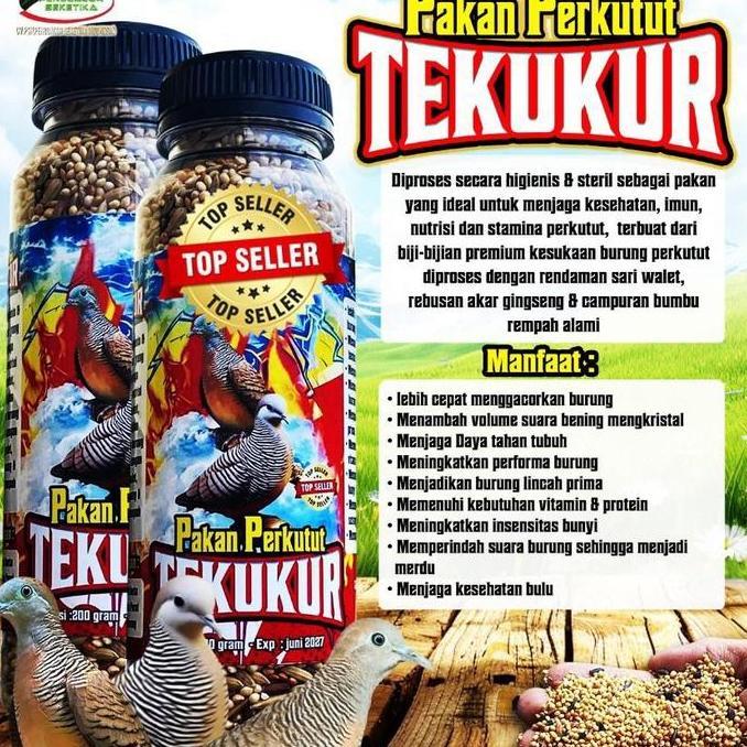 Pakan Perkutut Tekukur Penggacor Burung Allshop