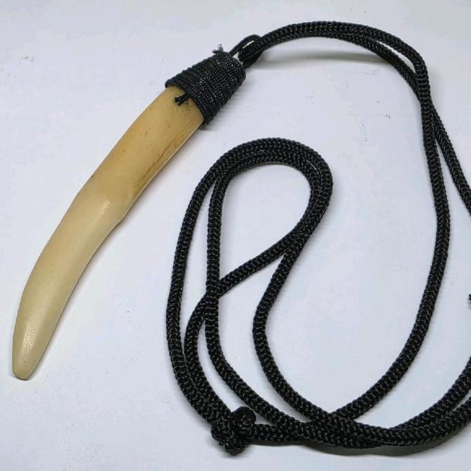 Kalung leontin kucan tarcan hoby