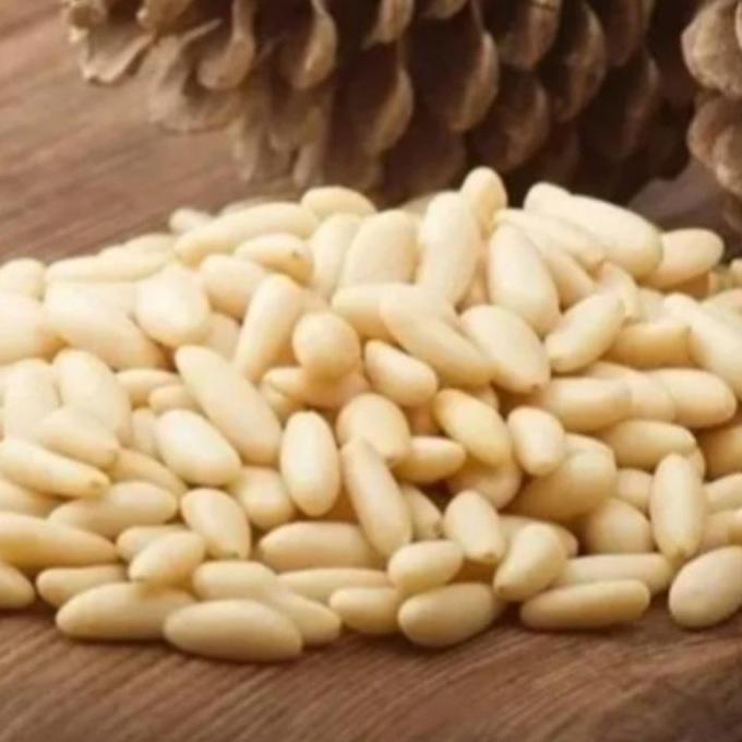 Kacang Pine Nut /Kacang Pinus Raw 250Gram