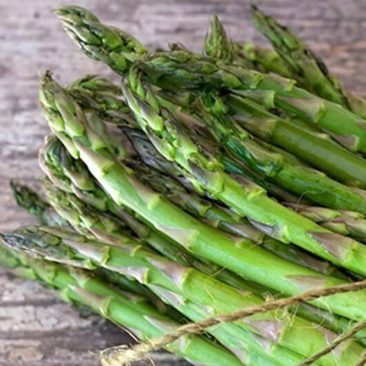 Benih Bibit Biji - Asparagus F1 Varietas UC800 Hibrida Seeds - IMPORT murah
