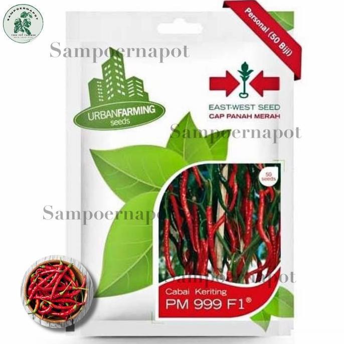 Okebro- Noni- Benih Bibit Cabe Keriting Pm 999 F1 Cap Panah Merah - Cabai Pm 999 F1