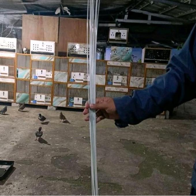 JERUJI FIBER UNTUK UNTUK DONGDANG KANDANG MERPATI PANJANG 1METER PAKET 11PCS peningkat imun cair san
