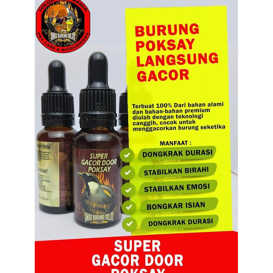 SUPER GACOR DOOR POKSAY PENGGACOR SEKETIKA