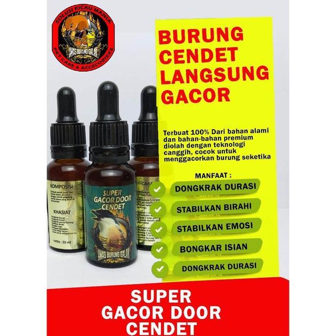 SUPER GACOR DOOR CENDET PENTET PENGGACOR SEKETIKA
