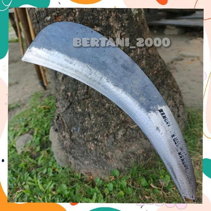 PISAU TEBANG TEBU ALAT PANEN TEBU SUPER TAJAM ARIT TEBU