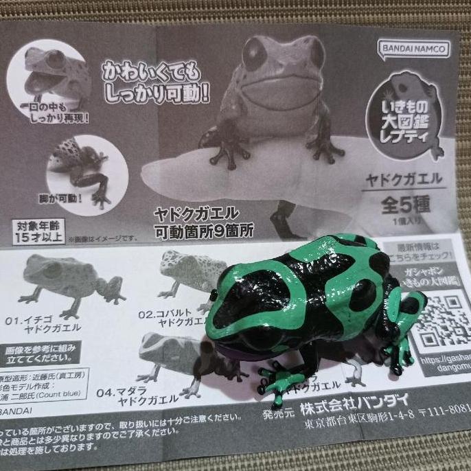 Bandai gachapon poison dart frog - green black poison dart frog