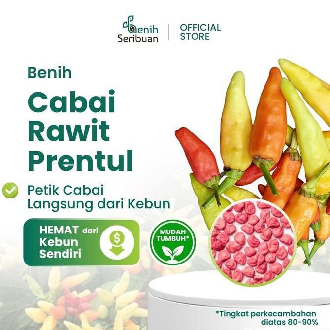20 Benih Cabe Rawit Prentul Klaster Bibit Sayuran Cabai Merah Viral Super Buah Bergerombol Putih Put