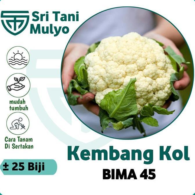 25 Biji - Benih Kembang Kol Unggul Bima F1 - Toleran Panas - Bibit Sayuran Benih Sayuran Kol Kubis A