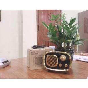 leles FM RADIO SPEAKER BLUETOOTH NIRKABEL RETRO VINTAGE KLASIK - PROMO