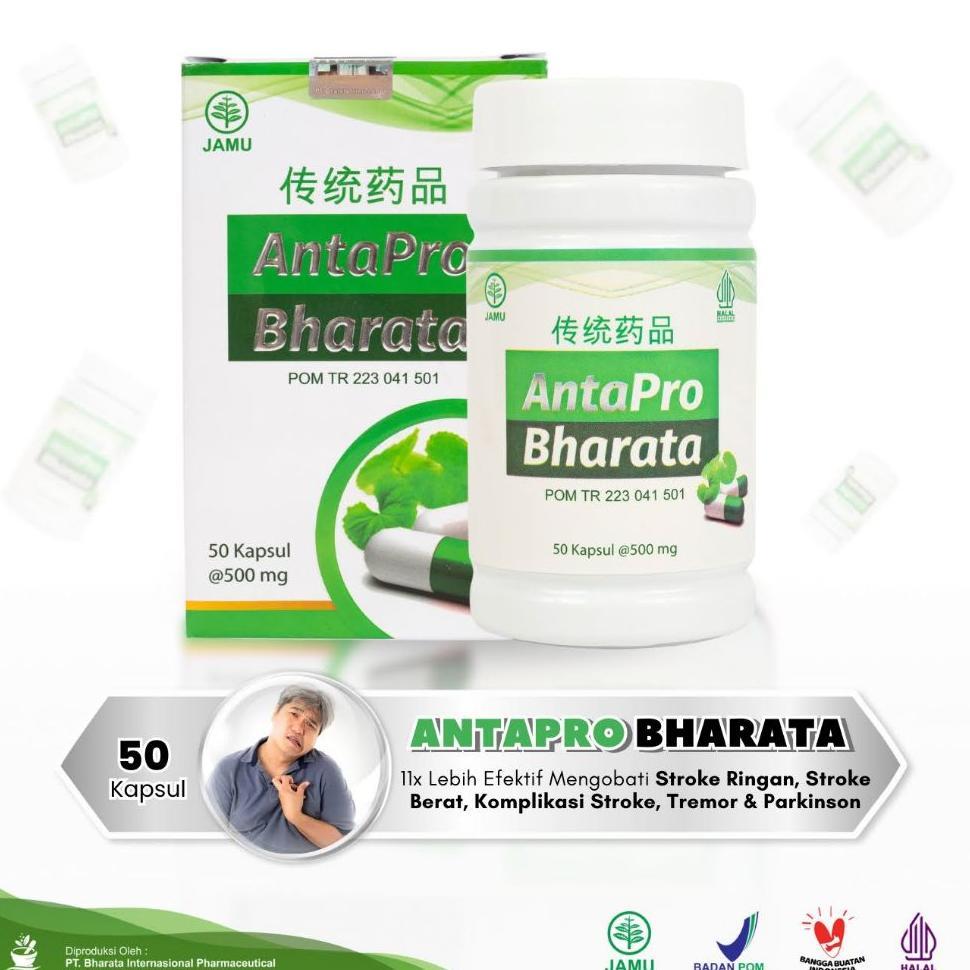 Obat Stroke Ringan Struk Berat Strok Menahun Paling Ampuh Antapro Bharata