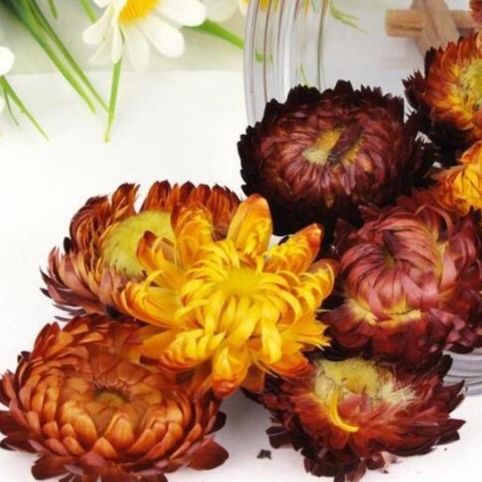 Torta- Edible Dried Flowers Cake Decoration Bunga Kering Topper Kue Hiasan