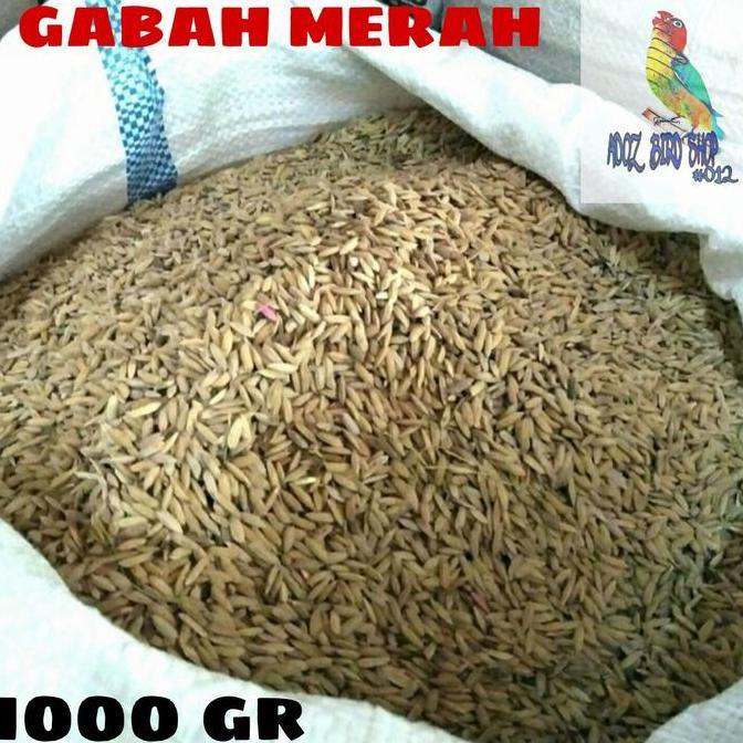 Gabah Merah/Gabah Beras Merah Pakan Ayam/Burung Dll