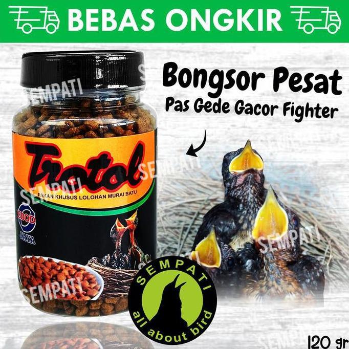 Pakan Loloh Burung Murai Trotol Premium Ebod Jaya Toples Lolohan Trobt