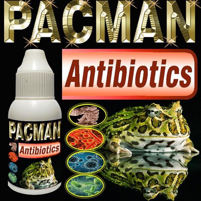 PACMAN ANTIBIOTIK SUPLEMEN MULTIVITAMIN KODOK KATAK FROG  PAKMAN STRAWBERRY GREEN REPTILE AMPHIBI VI