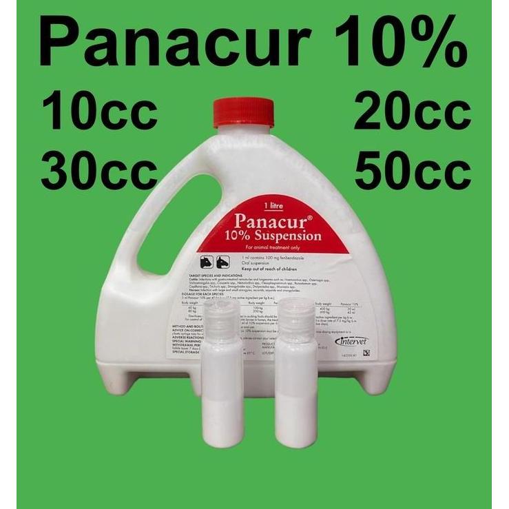 PANACUR OBAT CACING HEWAN - 10 ML REPTIL KURA DARAT SULCATA EMYS ALDABRA DEWORM BEST PRODUK