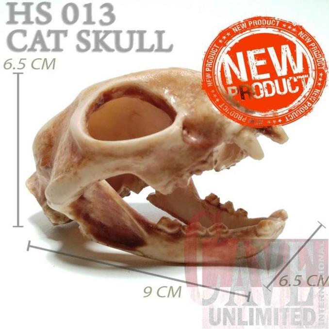 Pat- New- Tengkorak Kepala Kucing Hs014 Hiding Cave Skull Cat Aquascape Reptile