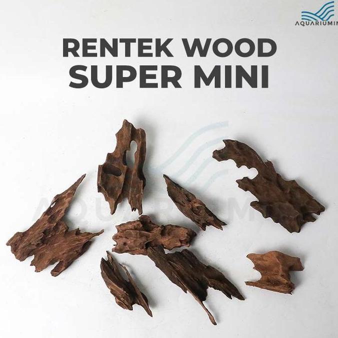 Kayu Rentek / Rentek Wood Size Super Mini Detailing