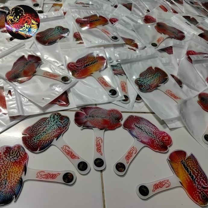 Fishup- Yang Louhan Yangan Untulan Ikan Louhan Aclyric Tebal Besar