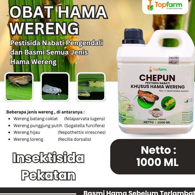 Dreamlict- Obat Wereng Padi - Obat Wereng Paling Ampuh / Obat Hama Wereng / Obat Wereng Pada Tanaman
