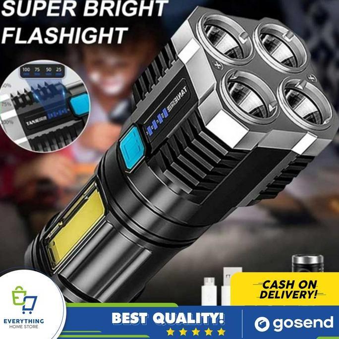 CEFRUCHE Senter Zetron EHS