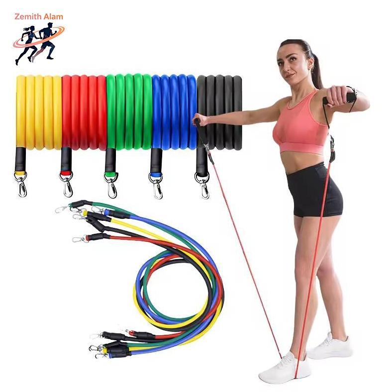 WAJIB PUNYA Zemith Alam  11 In 1 Set Tali Pembantu Fitness Gym Power Resistance Bands Resistand band
