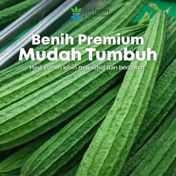 Infarm - Benih Buah Oyong Hibrida Durluffa, Bibit Buah Oyong Unggul Bibit Sayuran Oyong Super