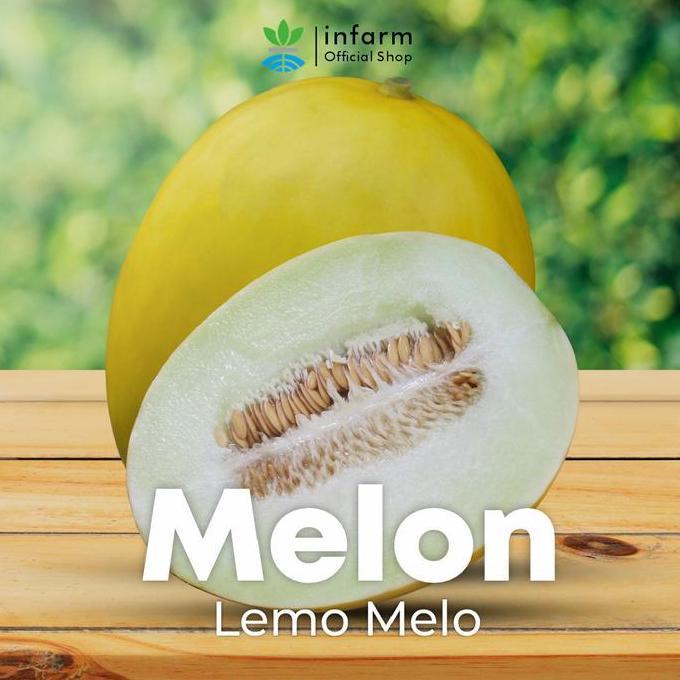 Infarm - Benih Melon Lemomelo Unggul, Bibit Buah Melon Golden Super Bibit Buah Melon Berkualitas
