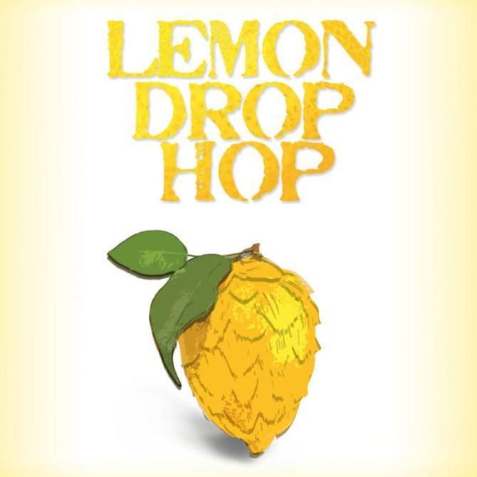 NEW Imatton Bittering Aroma hops LEMON DROP beer brew