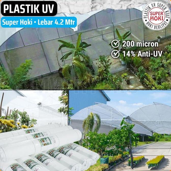 Plastik UV Greenhouse, SUPER HOKI, 200 micron 14% Anti-UV, 4.2 Meter