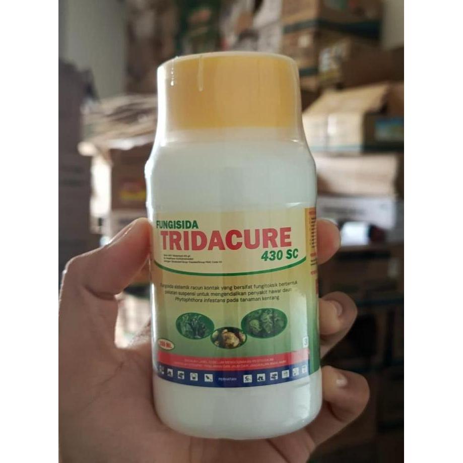Tridacure 250 Ml Tebukonazol Fungisida Sistemik