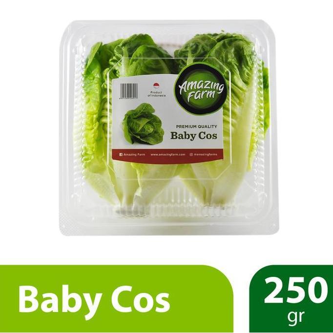 Newnature- Baby Romaine Cos Lettuce 50 Gram Amazing Farm