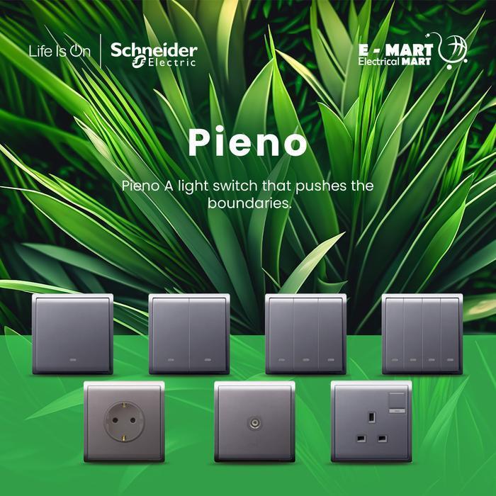 Schneider Pieno  Silver Saklar All Varian
