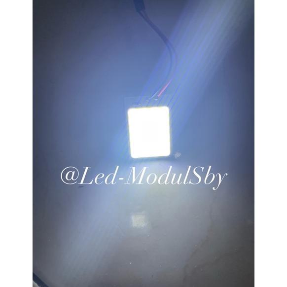 Cuci Gudang Lampu Plafon Kabin Mobil Cob 24Led 12Volt Terang