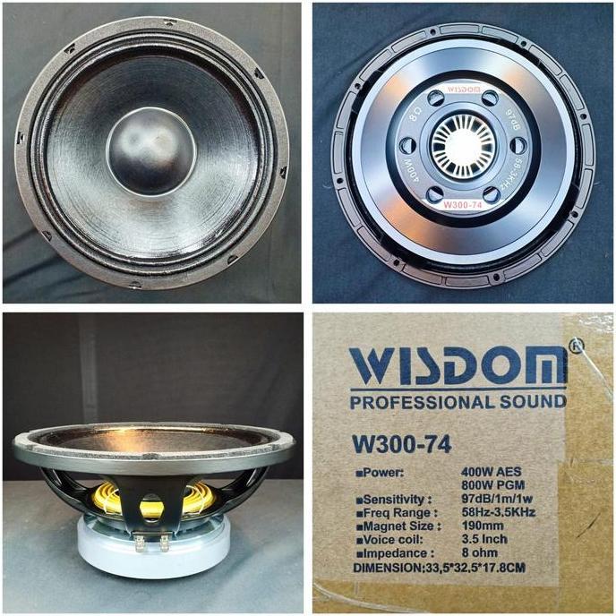 Speaker Component Wisdom W300 74 Orinal/ W300-74/W 300 74