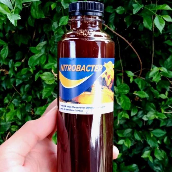 NITROBACTER PROBIOTIK KOLAM KOI 1 LITER
