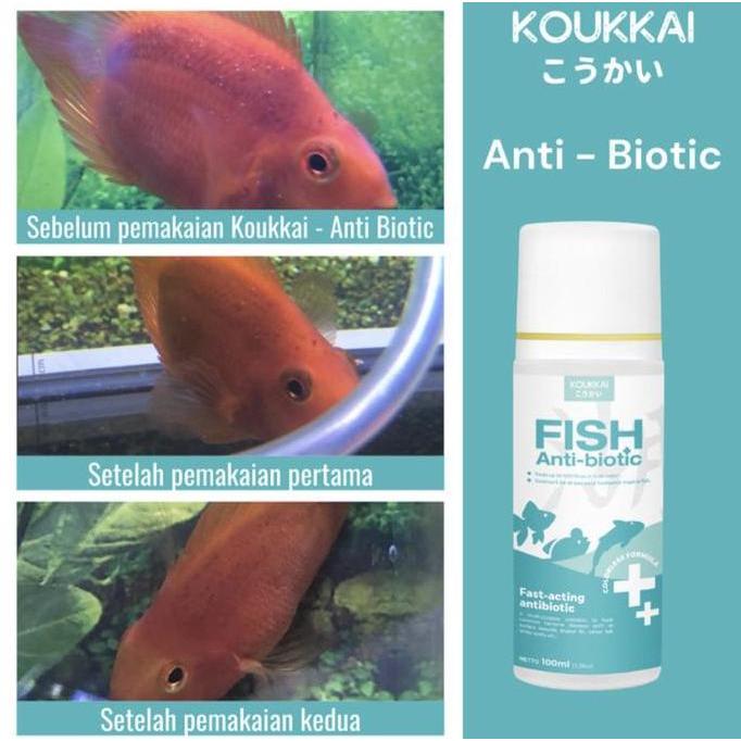 OBAT IKAN ANTIBIOTIK / LUKA LUAR / INFEKSI SISIK / SIRIP RUSAK