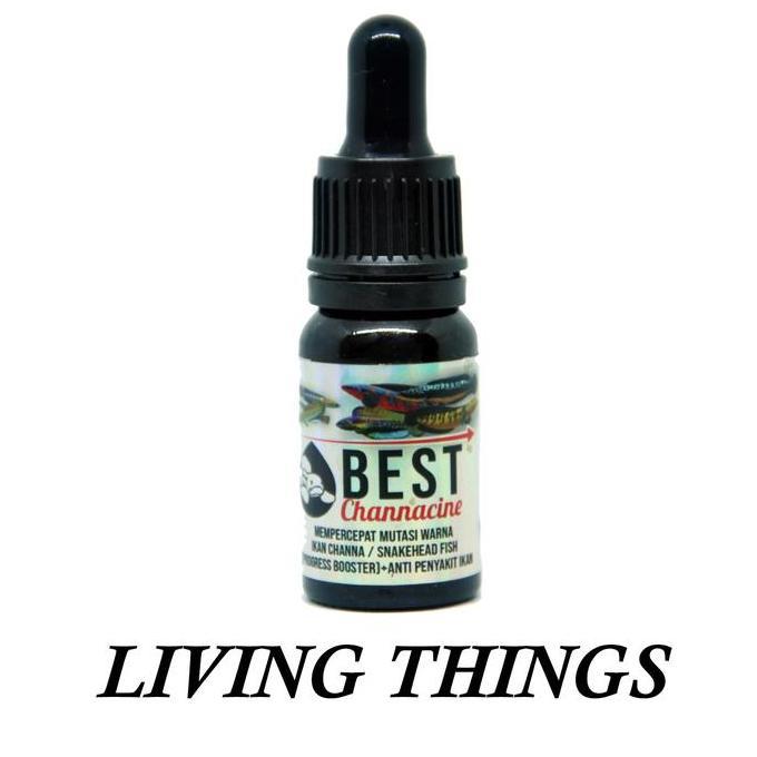 BEST CHANNACINE (BOOSTER-MUTASI) OBAT IKAN CHANNA MARU TOMAN BARCA DLL