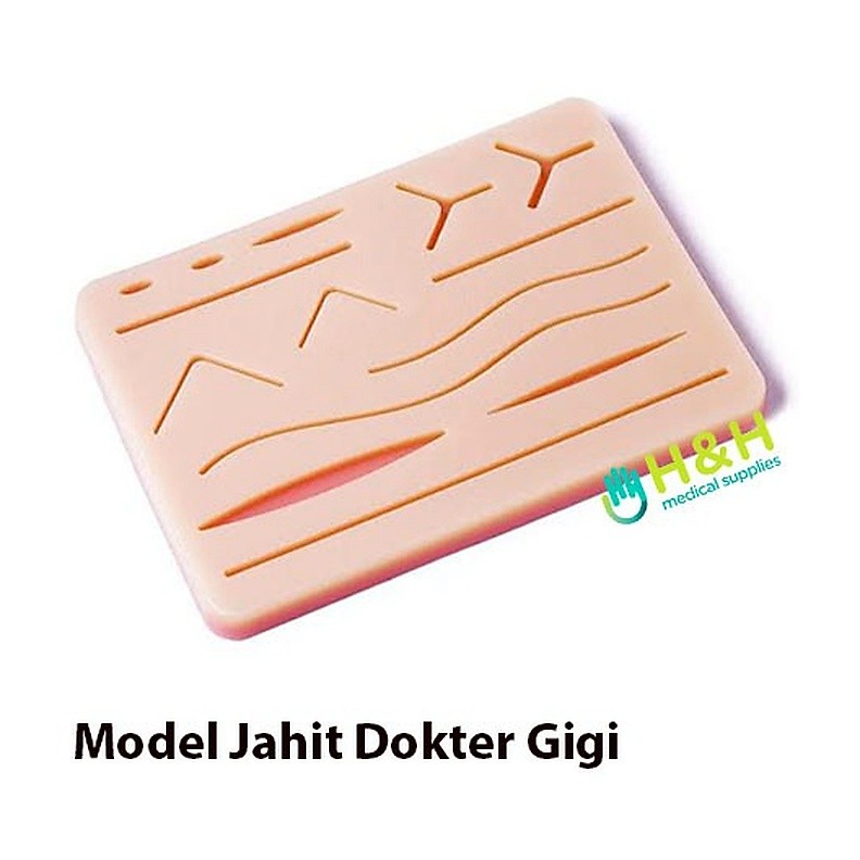 Model Gigi / Model Jahit Dokter Gigi / Latihan Jahit / Spons Jahit Gigi