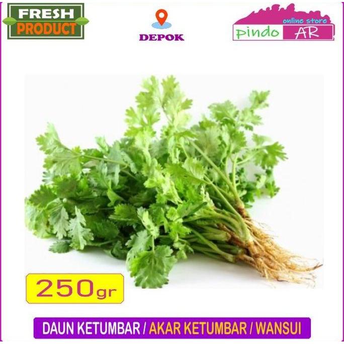 Kaldow- Daun Ketumbar / Akar Ketumbar / Daun Nsui Segar